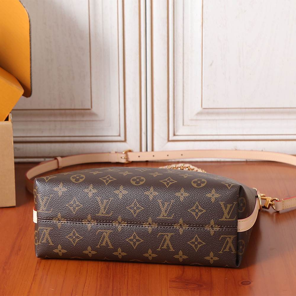 Louis Vuitton Multipass