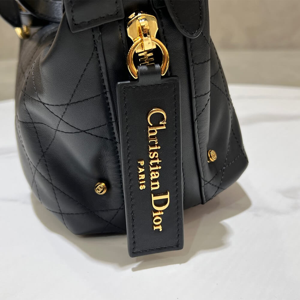 Dior Medium D-Journey Vintage