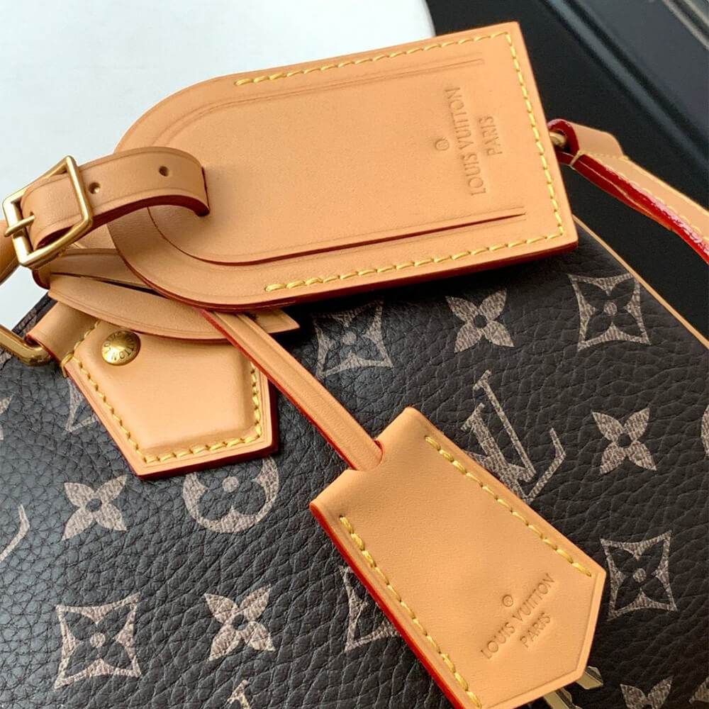 Louis Vuitton Speedy P9 Bandoulière 25