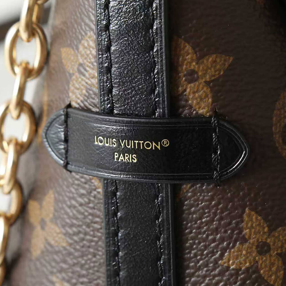 Louis Vuitton CarryAll BB