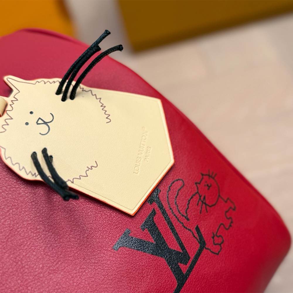 Louis Vuitton Speedy Soft 30