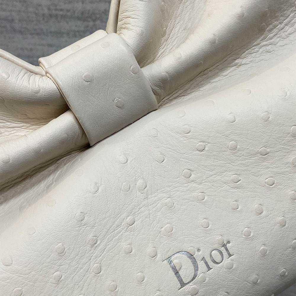 Medium Dior Bow Bag