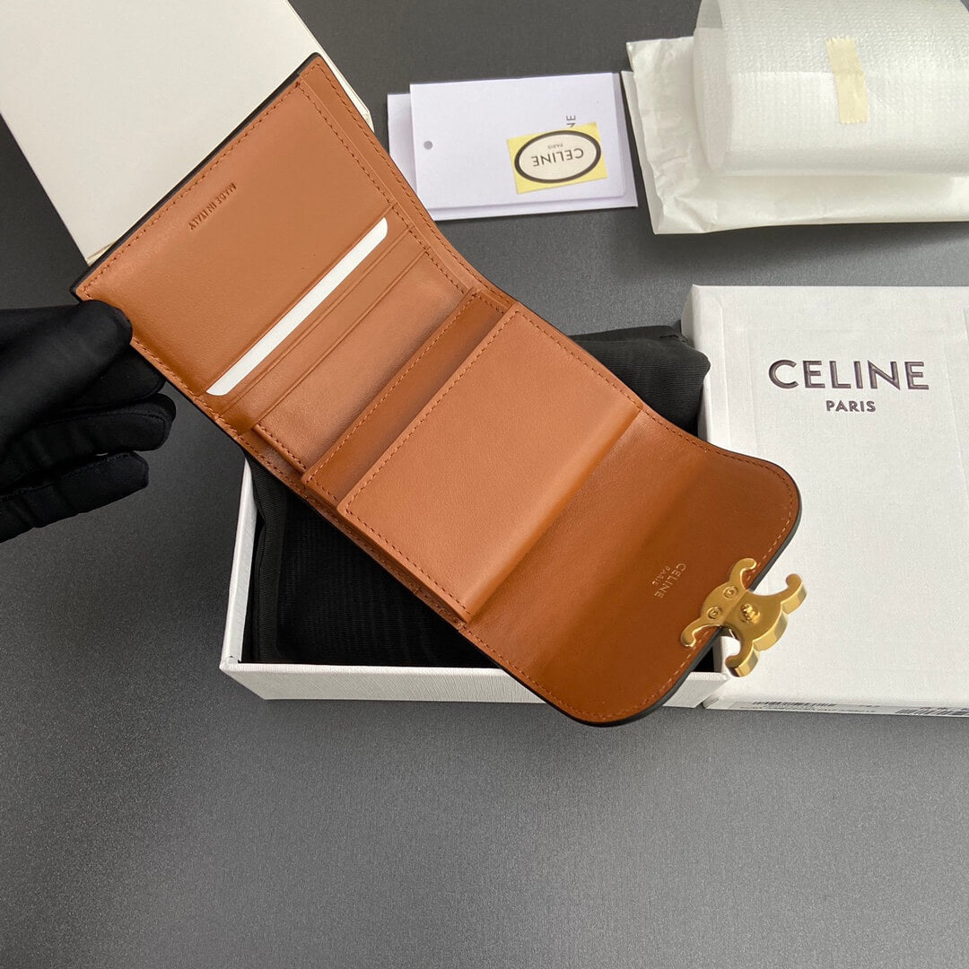Celine Small Flap Wallet Triomphe