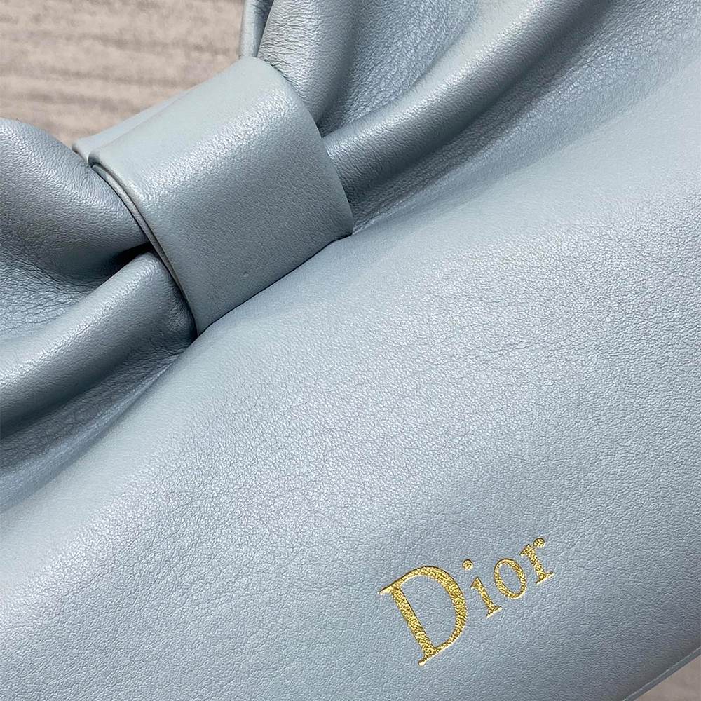 Medium Dior Bow Bag