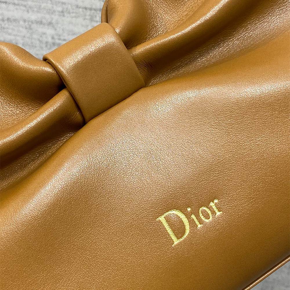 Medium Dior Bow Bag