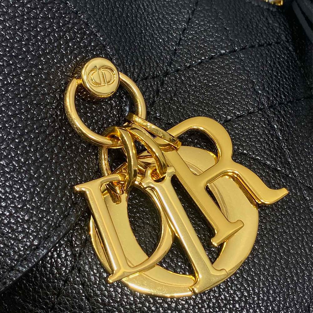 Dior Small Dior Voyage Bag(high-end grade)