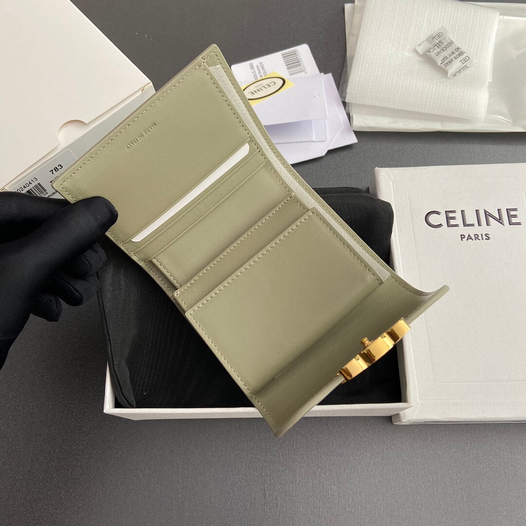 Celine Small Flap Wallet Triomphe