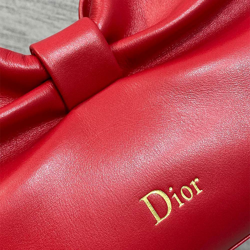 Medium Dior Bow Bag