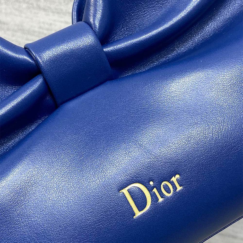 Medium Dior Bow Bag