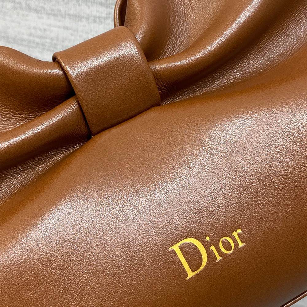 Medium Dior Bow Bag