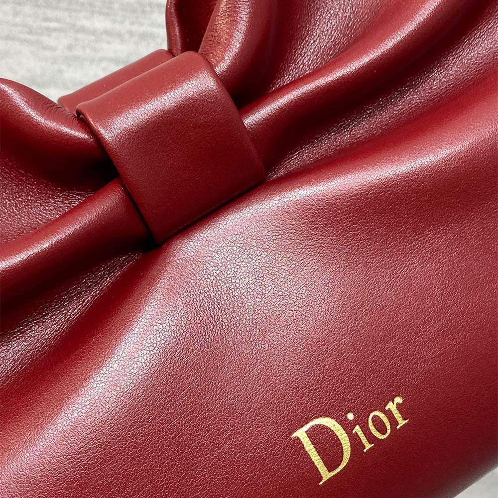 Medium Dior Bow Bag