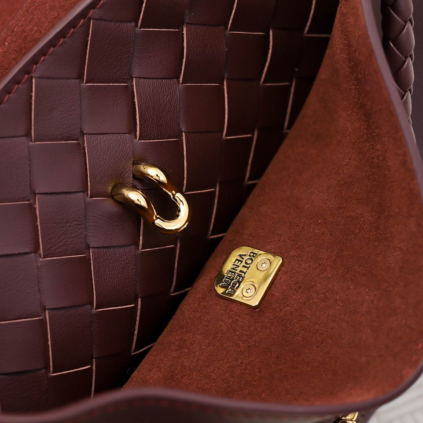 Bottega Veneta Small Ciao Ciao(high-end grade)