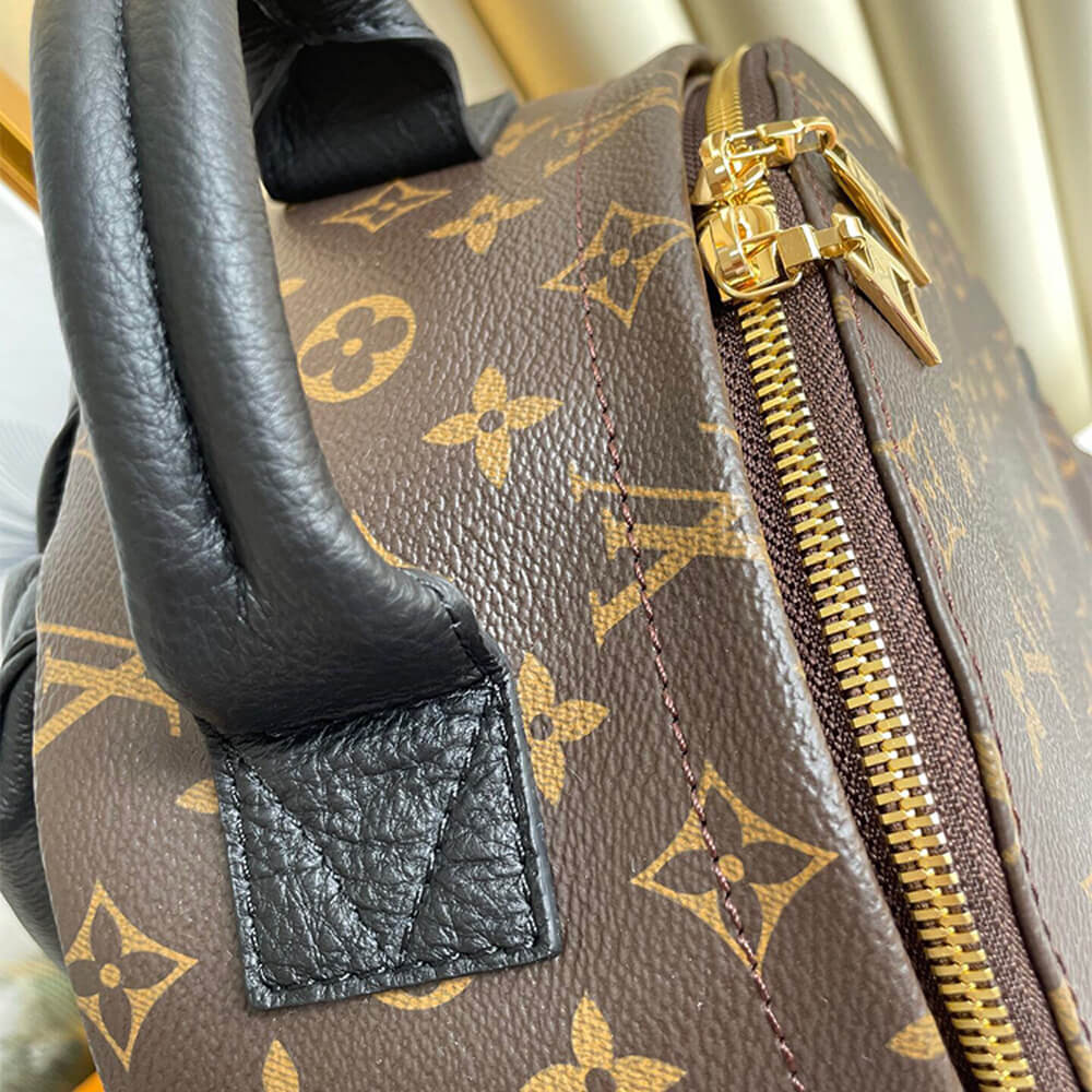 Louis Vuitton Palm Springs MM