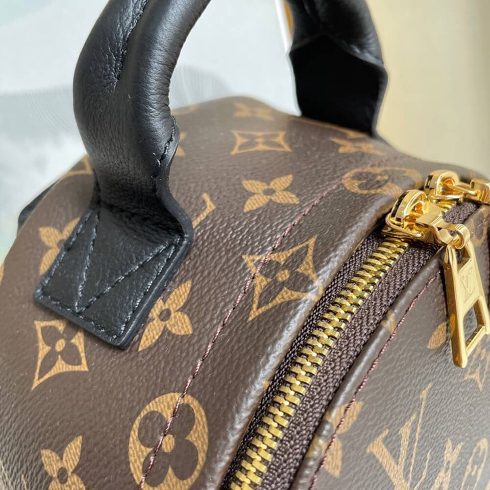Louis Vuitton Palm Springs PM