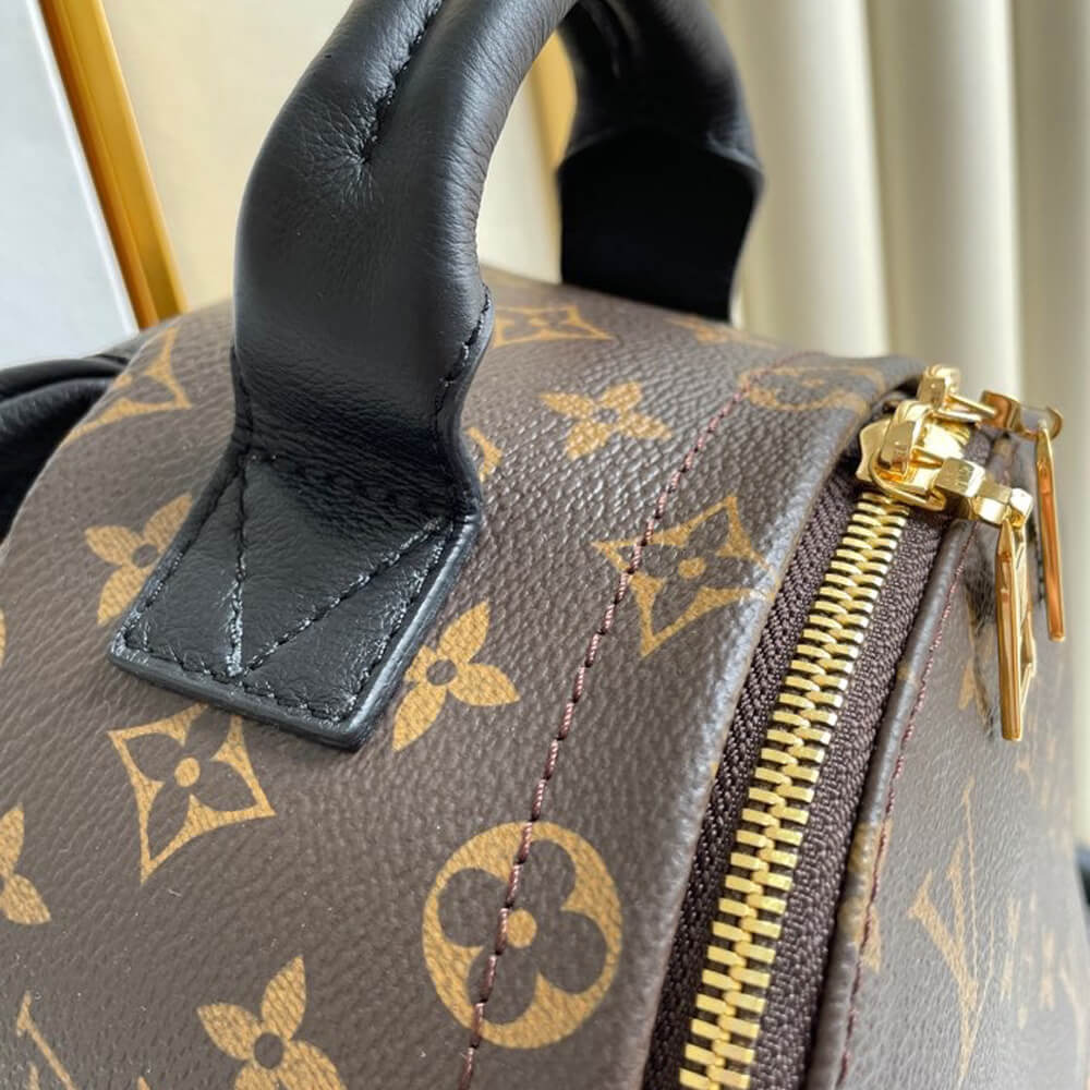 Louis Vuitton Palm Springs PM