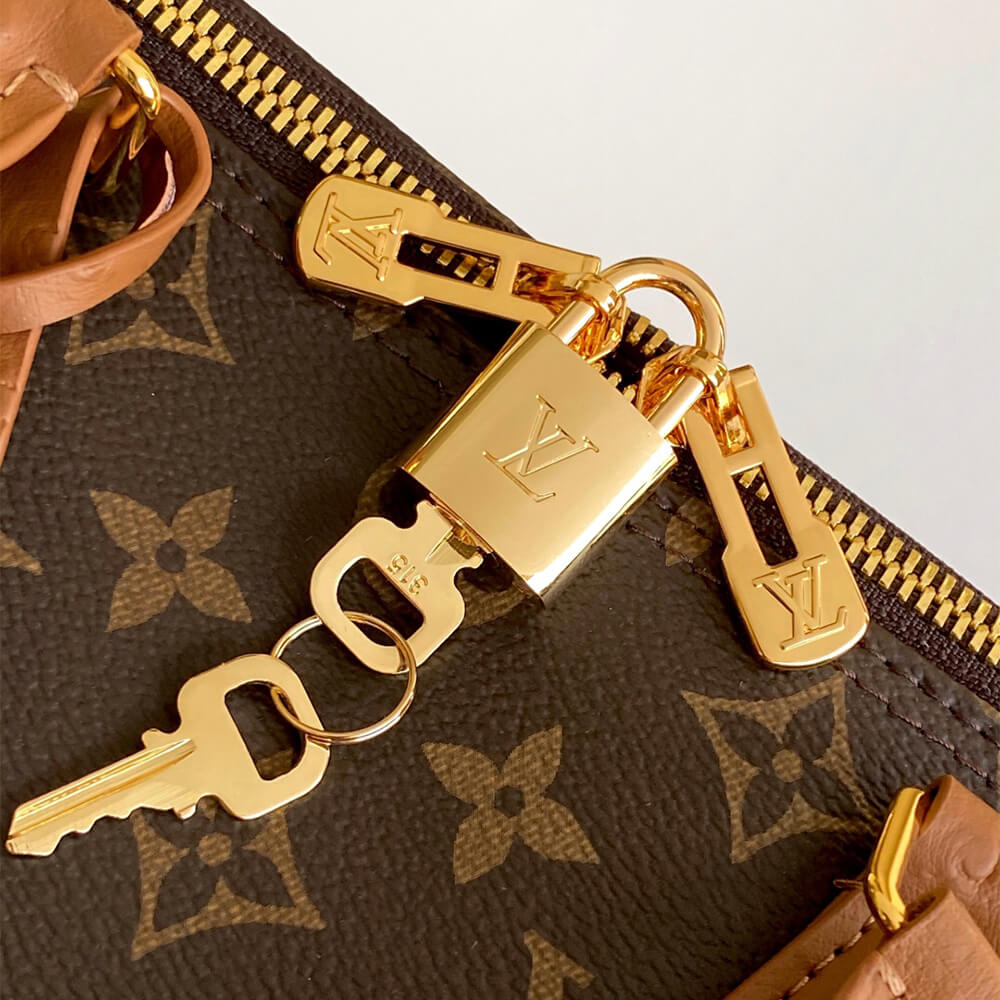 Louis Vuitton Speedy Soft 30