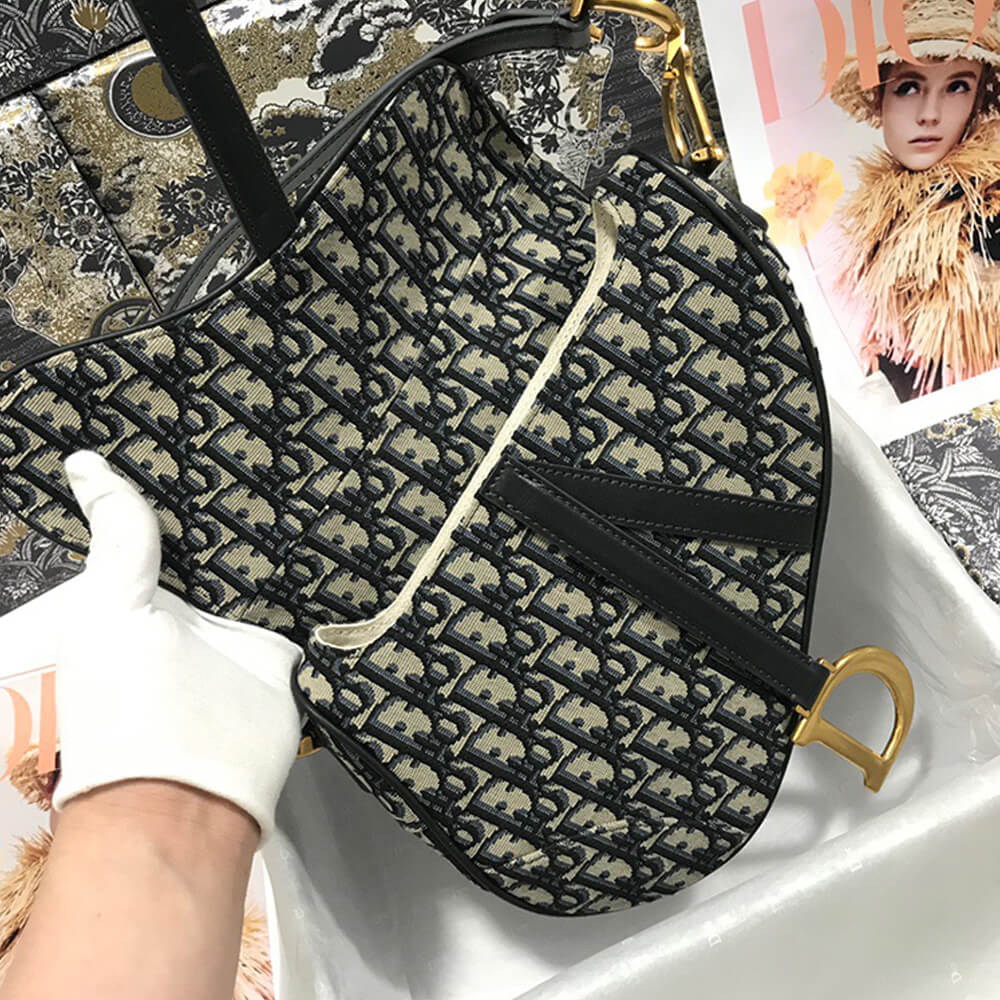 Dior Saddle