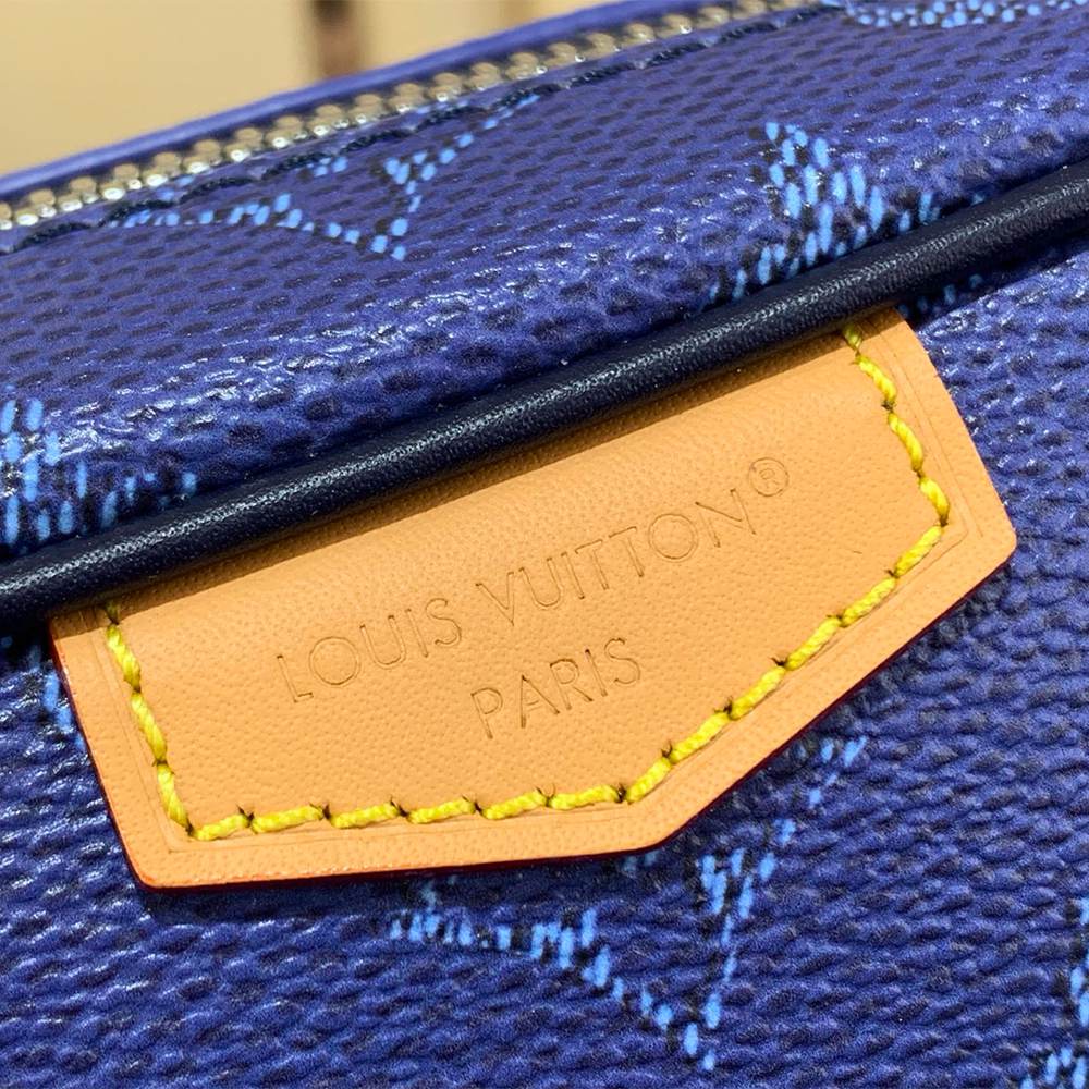 Louis Vuitton Trocadéro Wearable Wallet