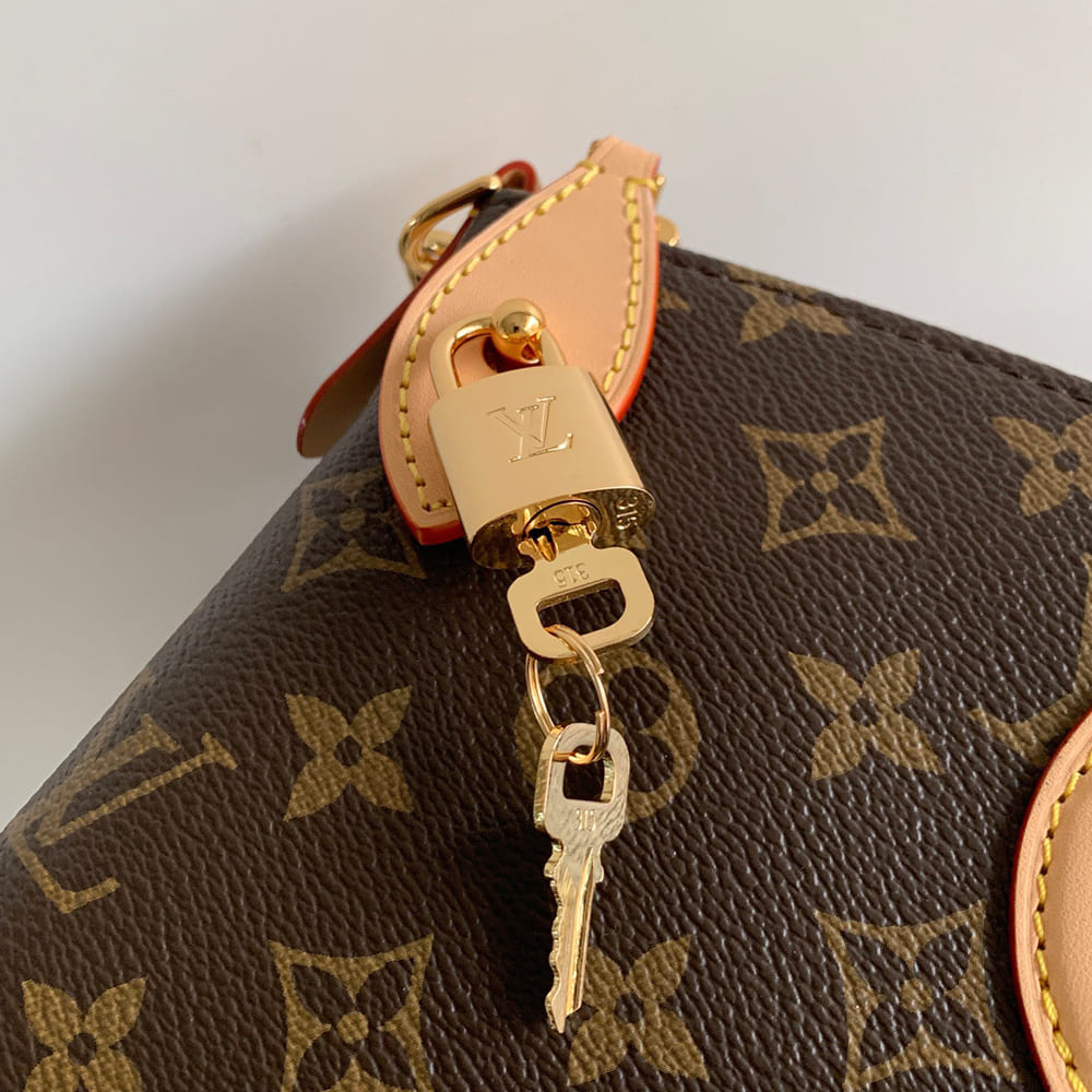 Louis Vuitton Neo Lockit MM