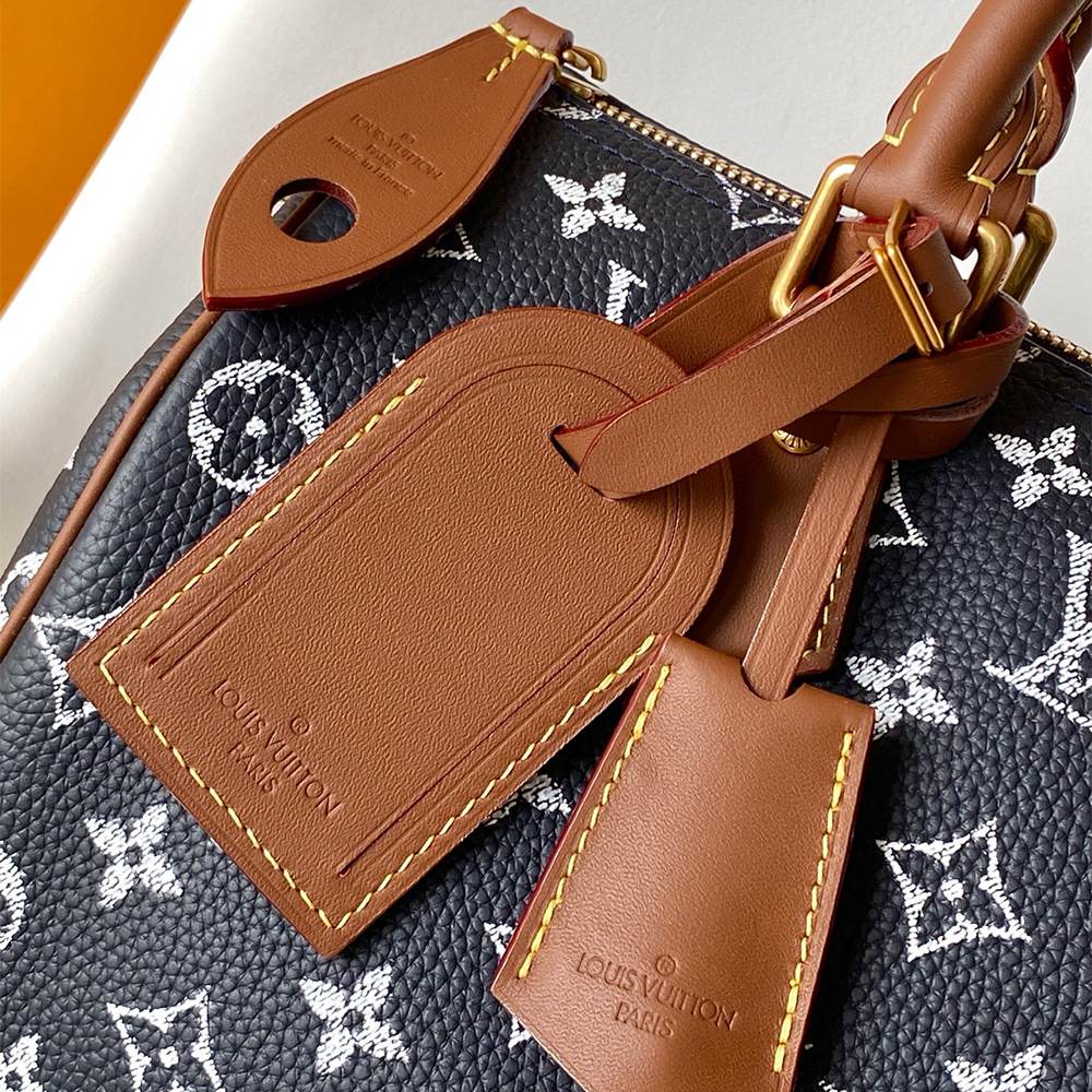 Louis Vuitton Speedy P9 Bandoulière 25