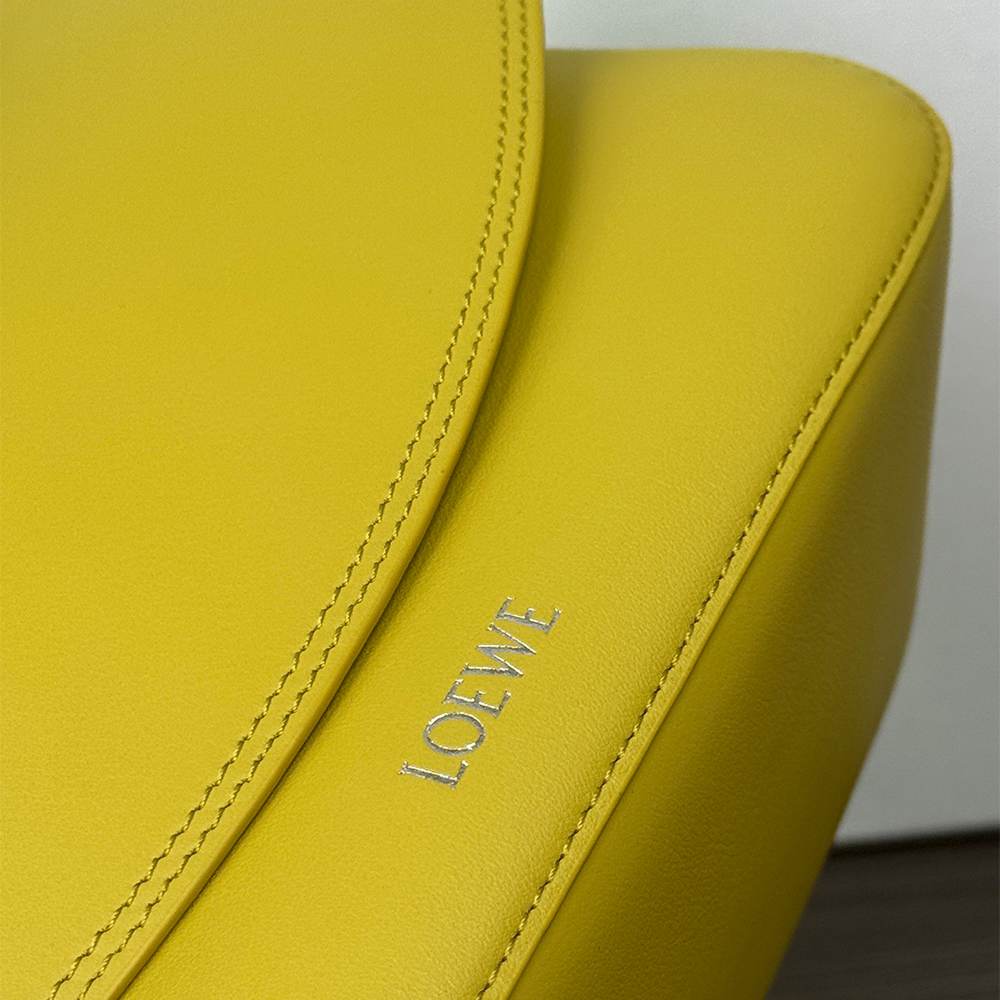 Loewe Medium Ola bag