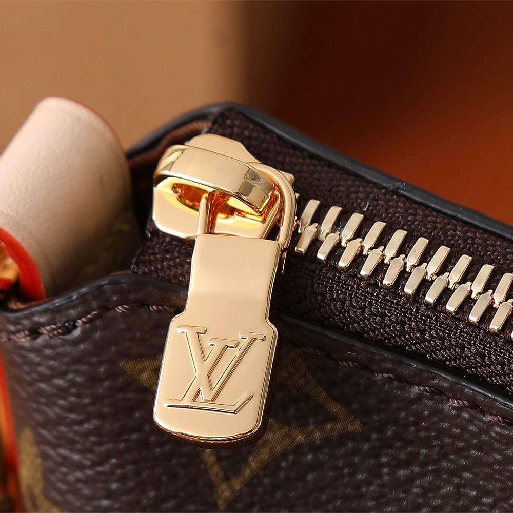 Louis Vuitton Multipass