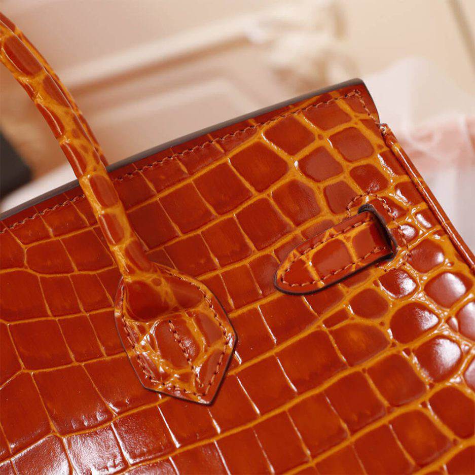 Hermes Birkin Crocco 30