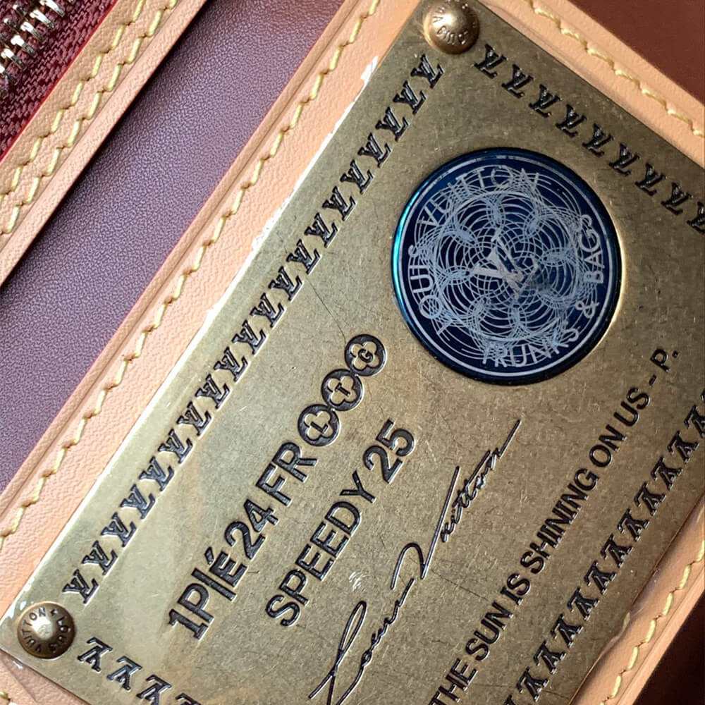 Louis Vuitton Speedy P9 Bandoulière 25