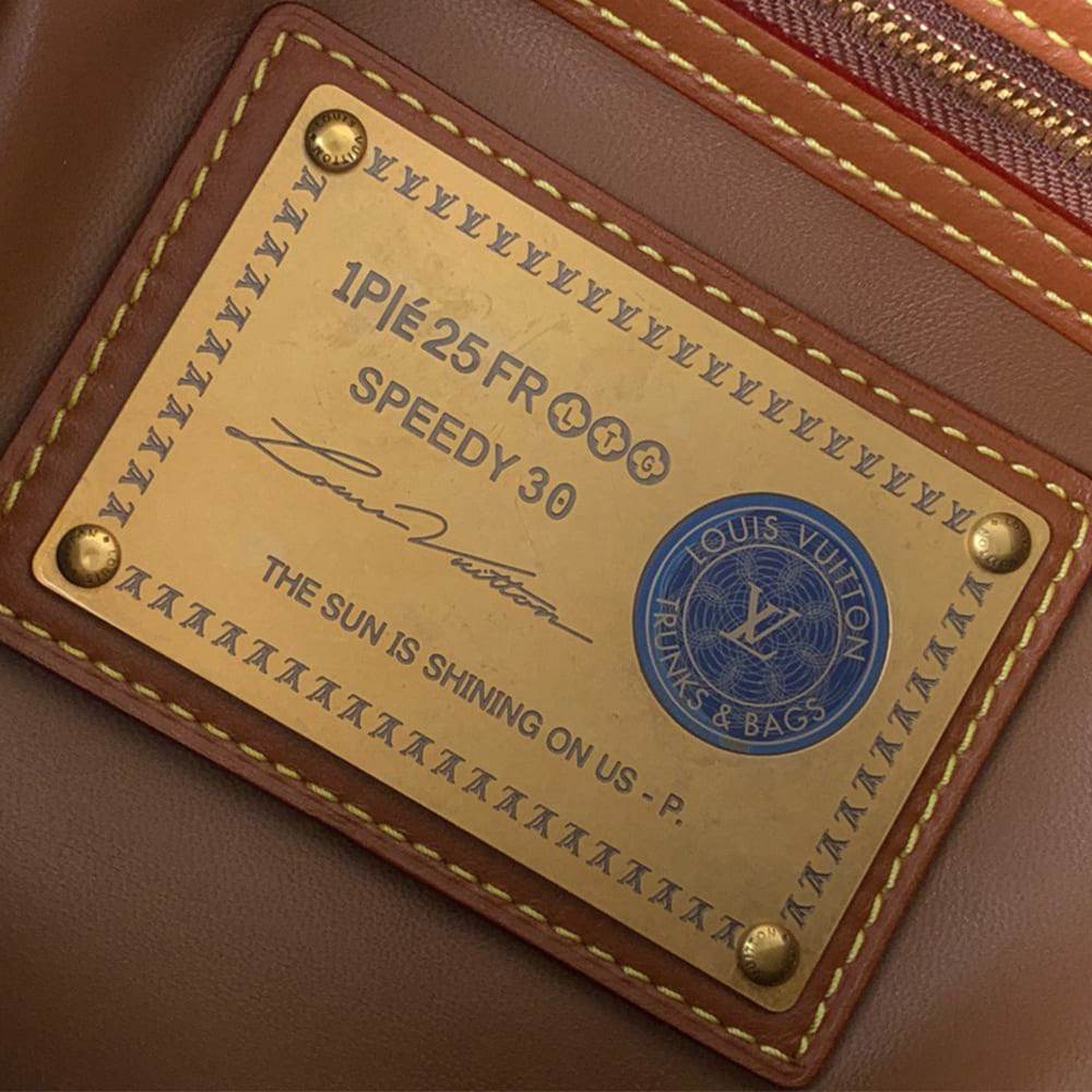 Louis Vuitton Speedy P9 Bandoulière 30