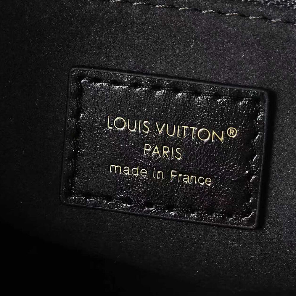 Louis Vuitton CarryAll BB