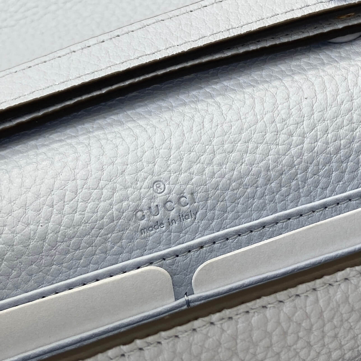 Gucci Dionysus woc