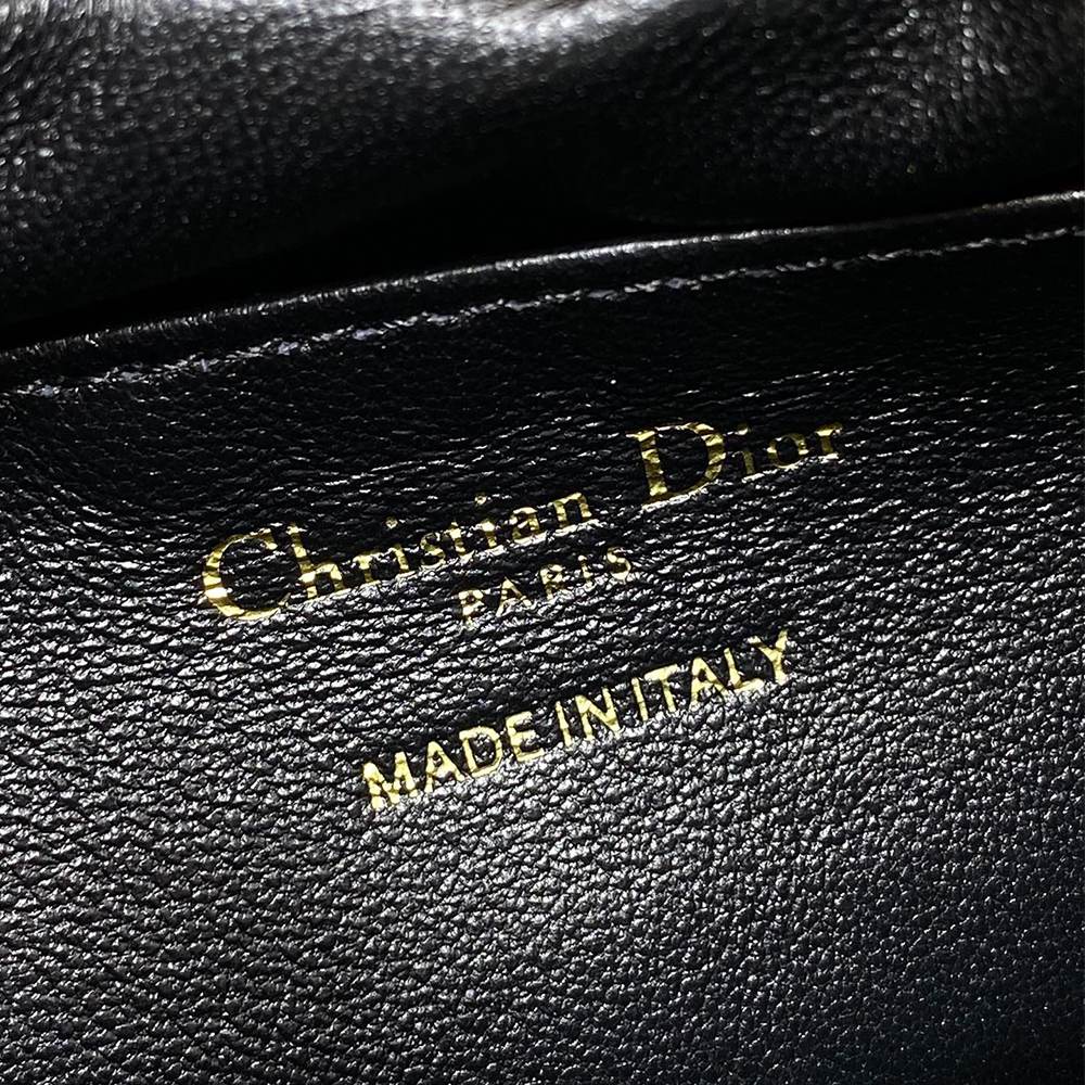 Medium Dior Bow Bag