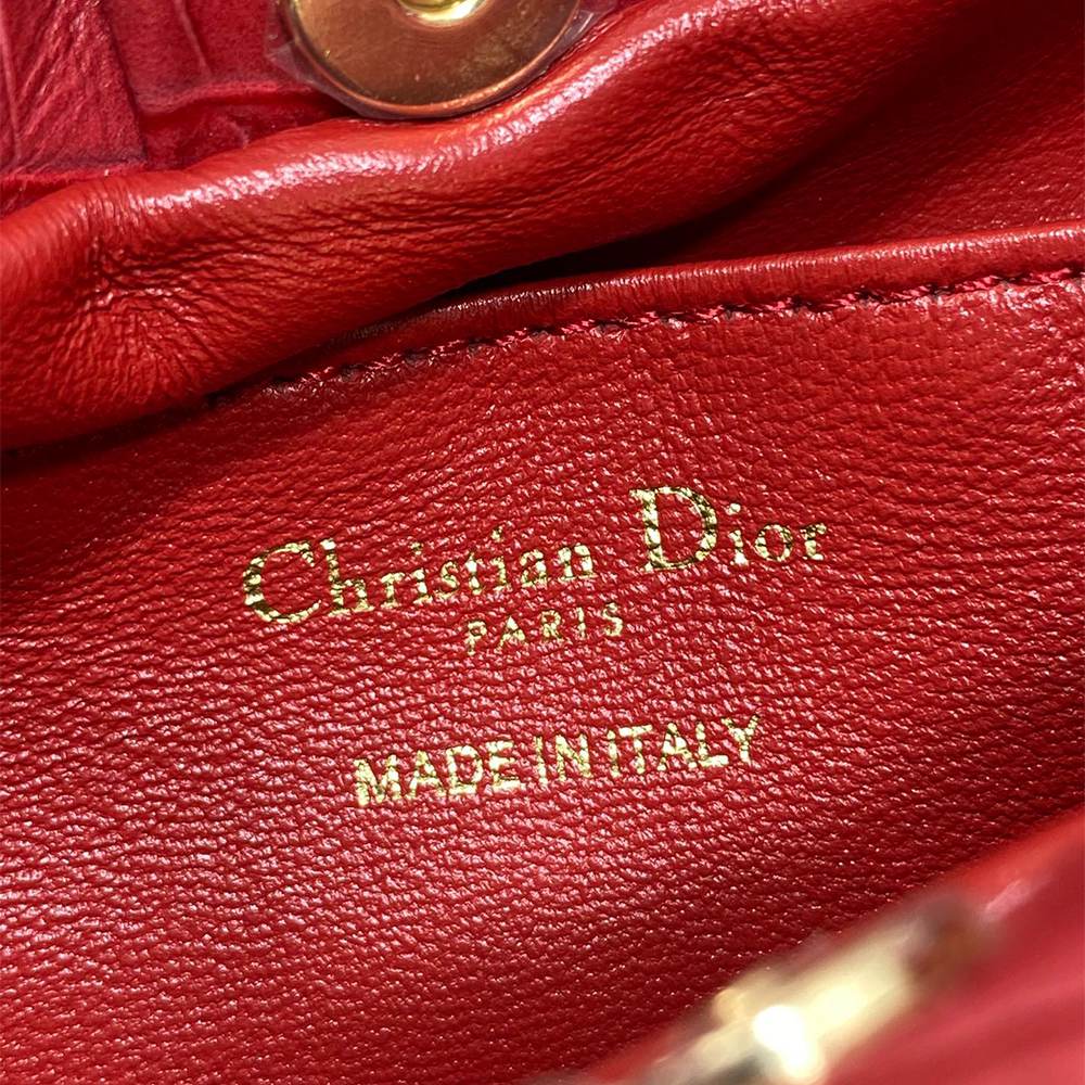 Medium Dior Bow Bag