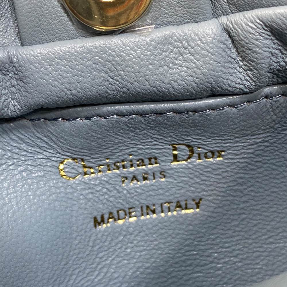 Medium Dior Bow Bag