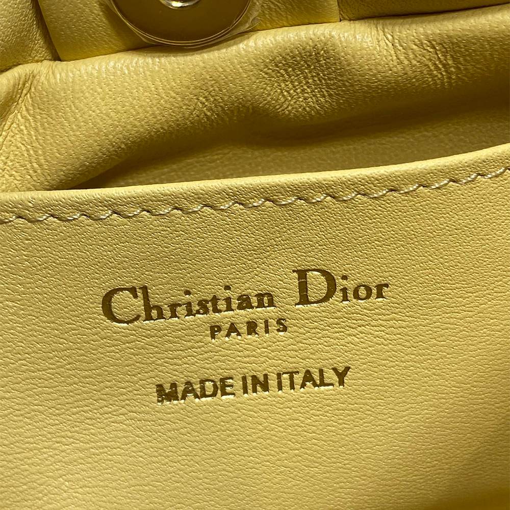 Medium Dior Bow Bag