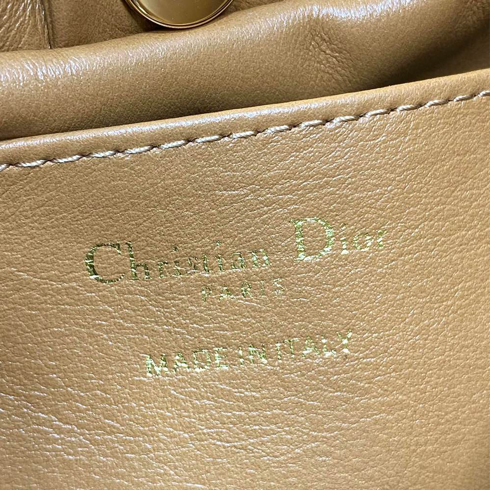 Medium Dior Bow Bag