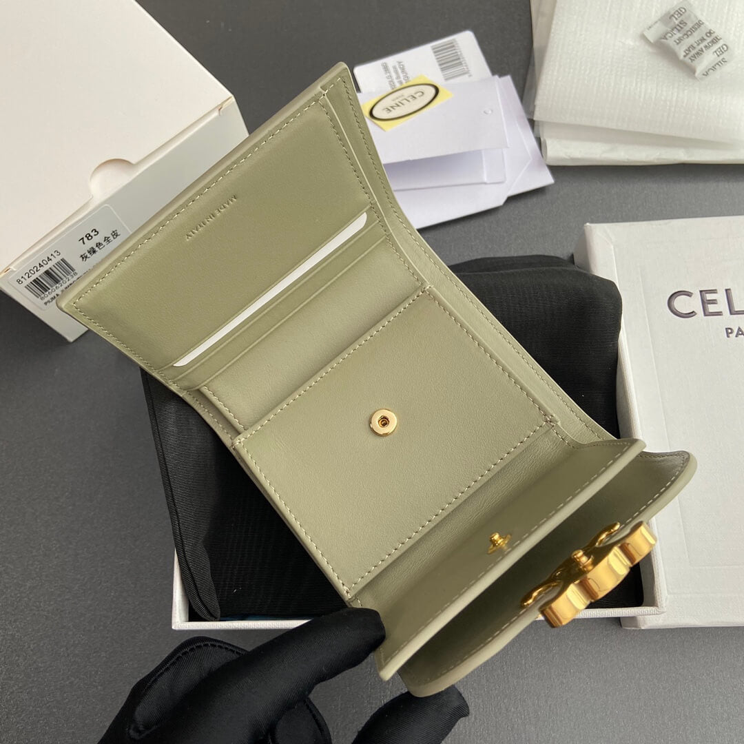 Celine Small Flap Wallet Triomphe