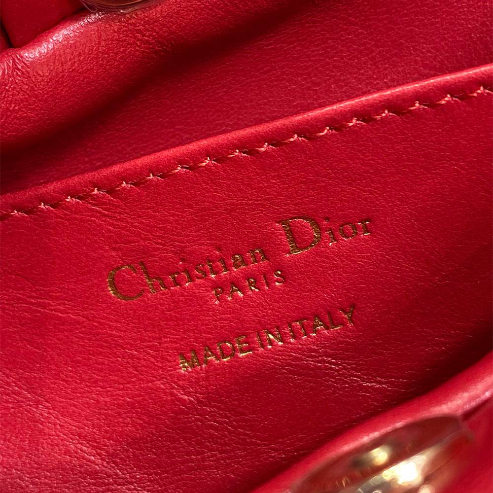 Medium Dior Bow Bag