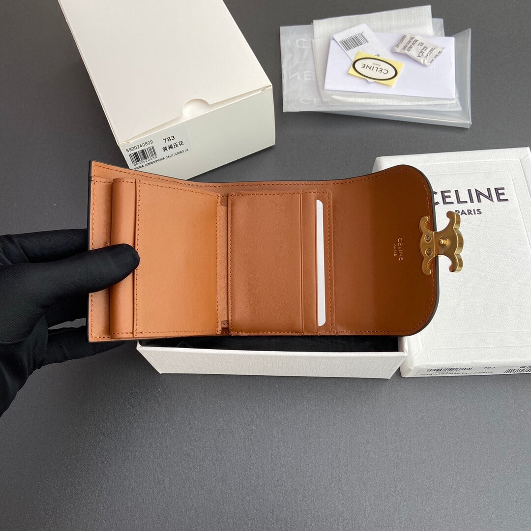 Celine Small Flap Wallet Triomphe
