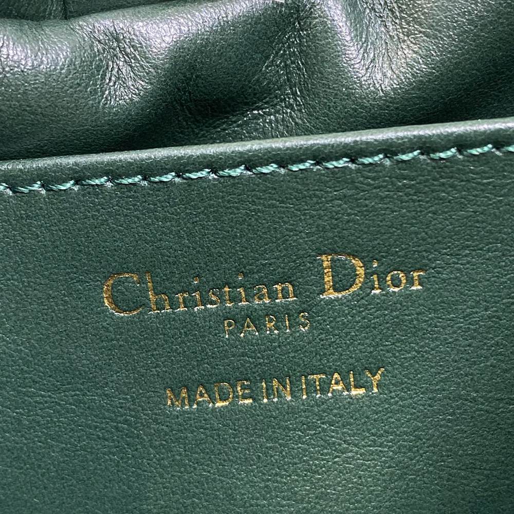 Medium Dior Bow Bag