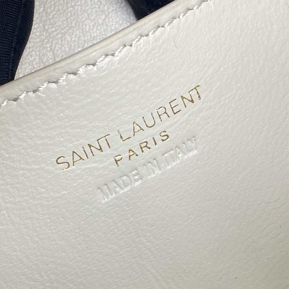 YSL GABY vanity bag in lambskin