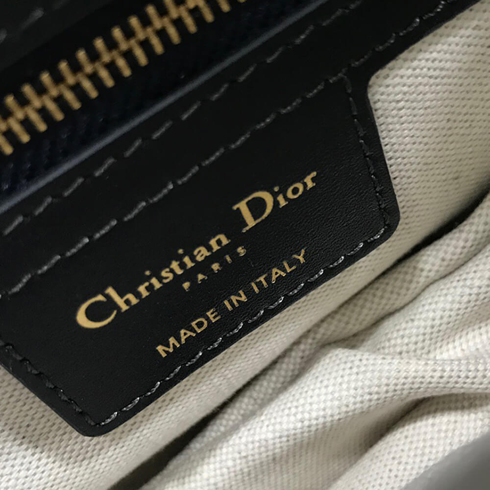 Dior Saddle