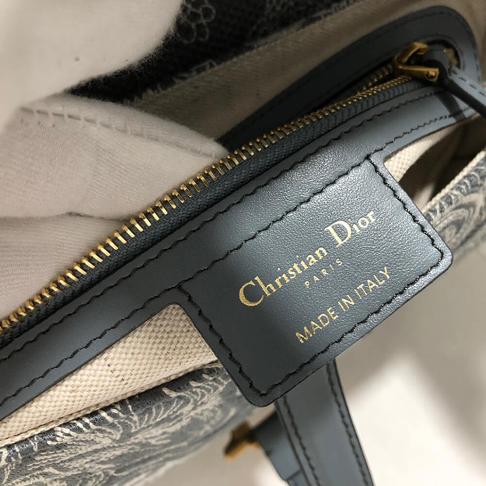 Dior Saddle