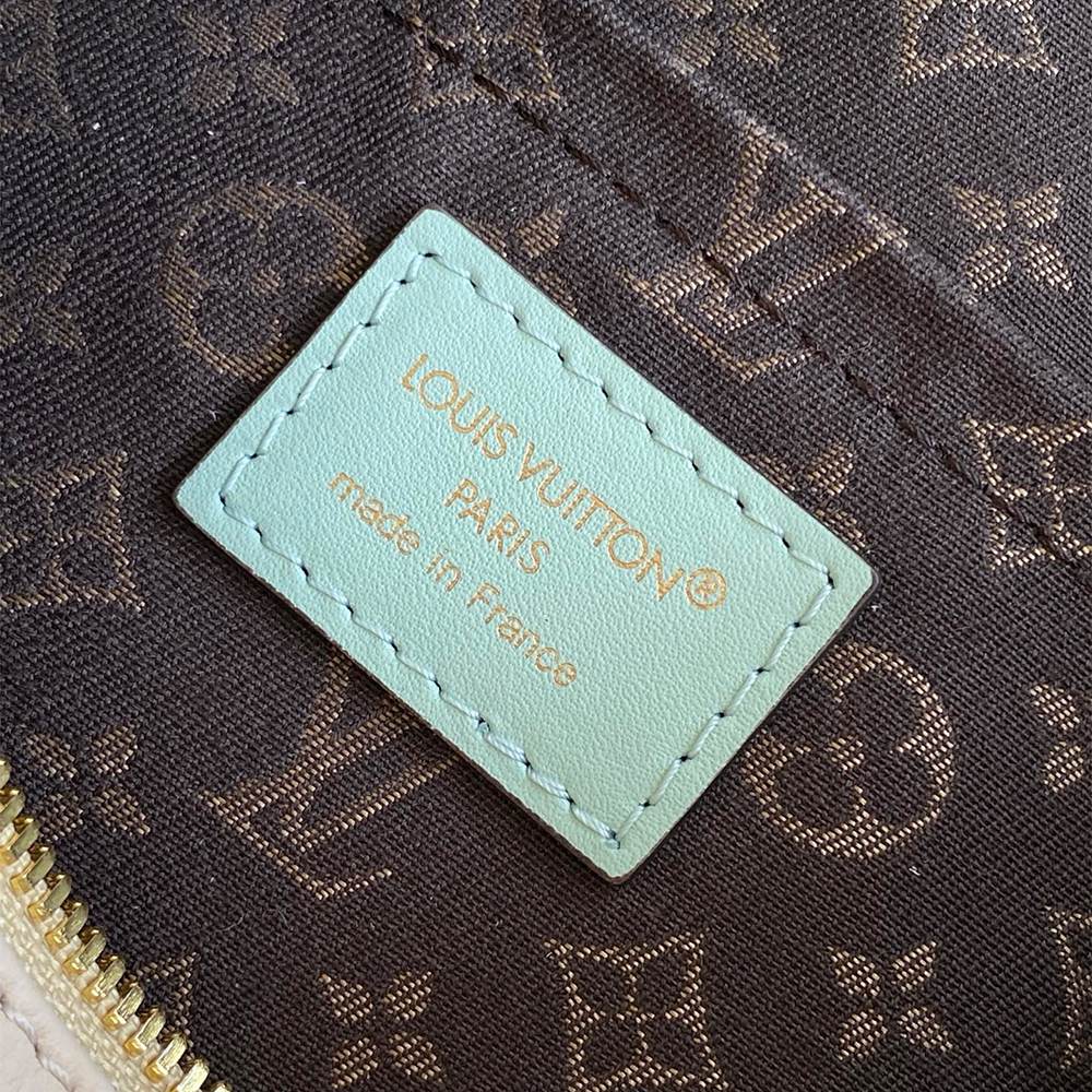 Louis Vuitton Express PM