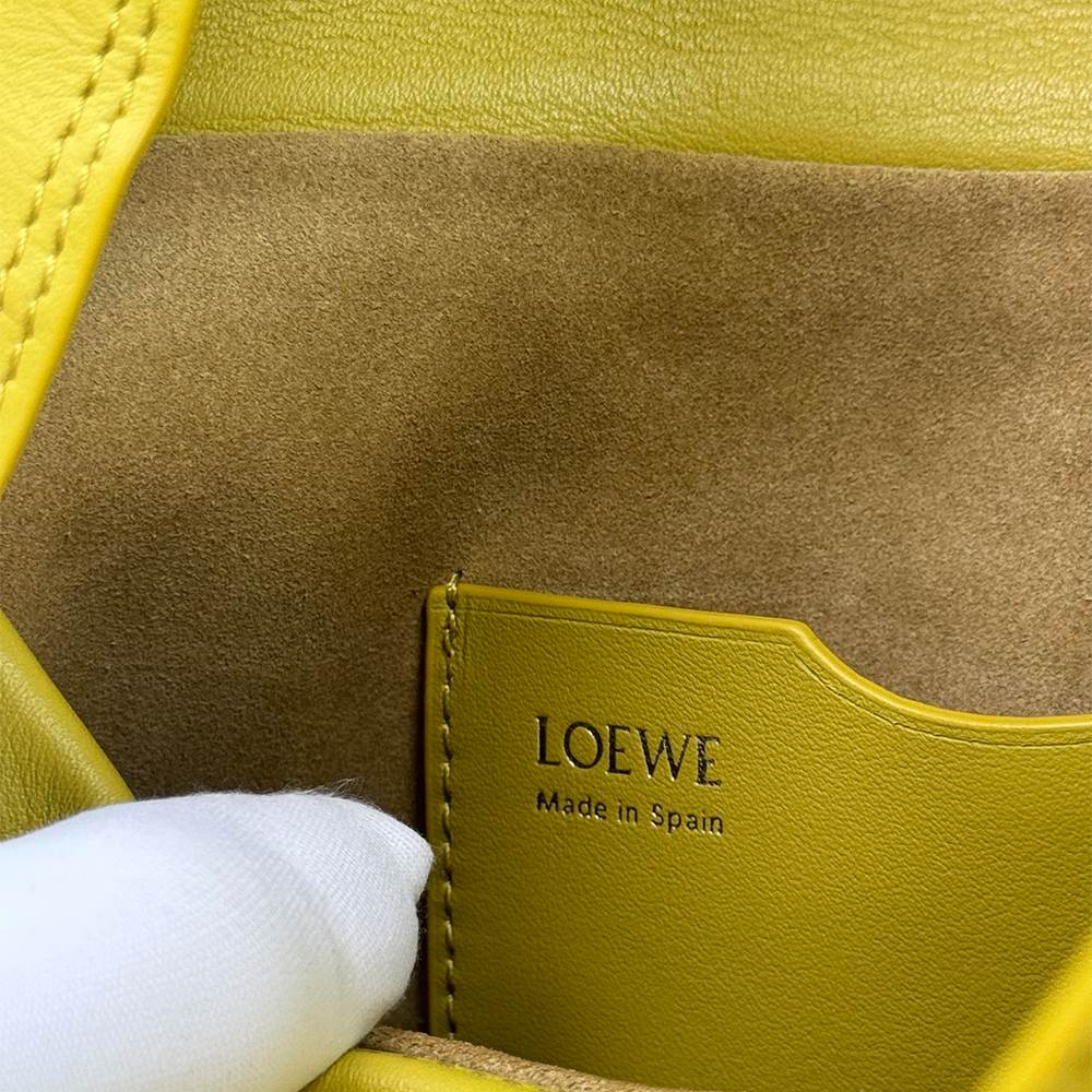 Loewe Medium Ola bag