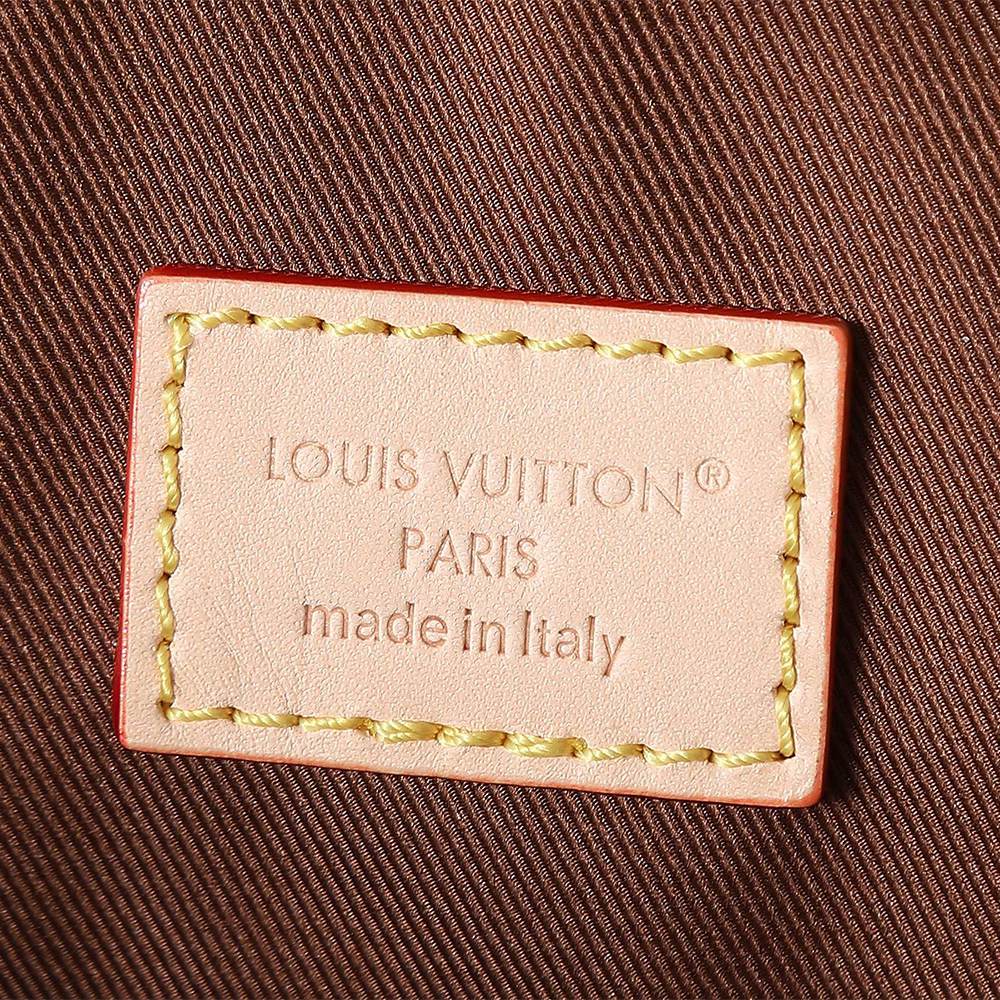 Louis Vuitton Multipass