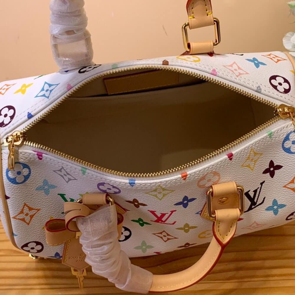 Louis Vuitton x TM Speedy 25