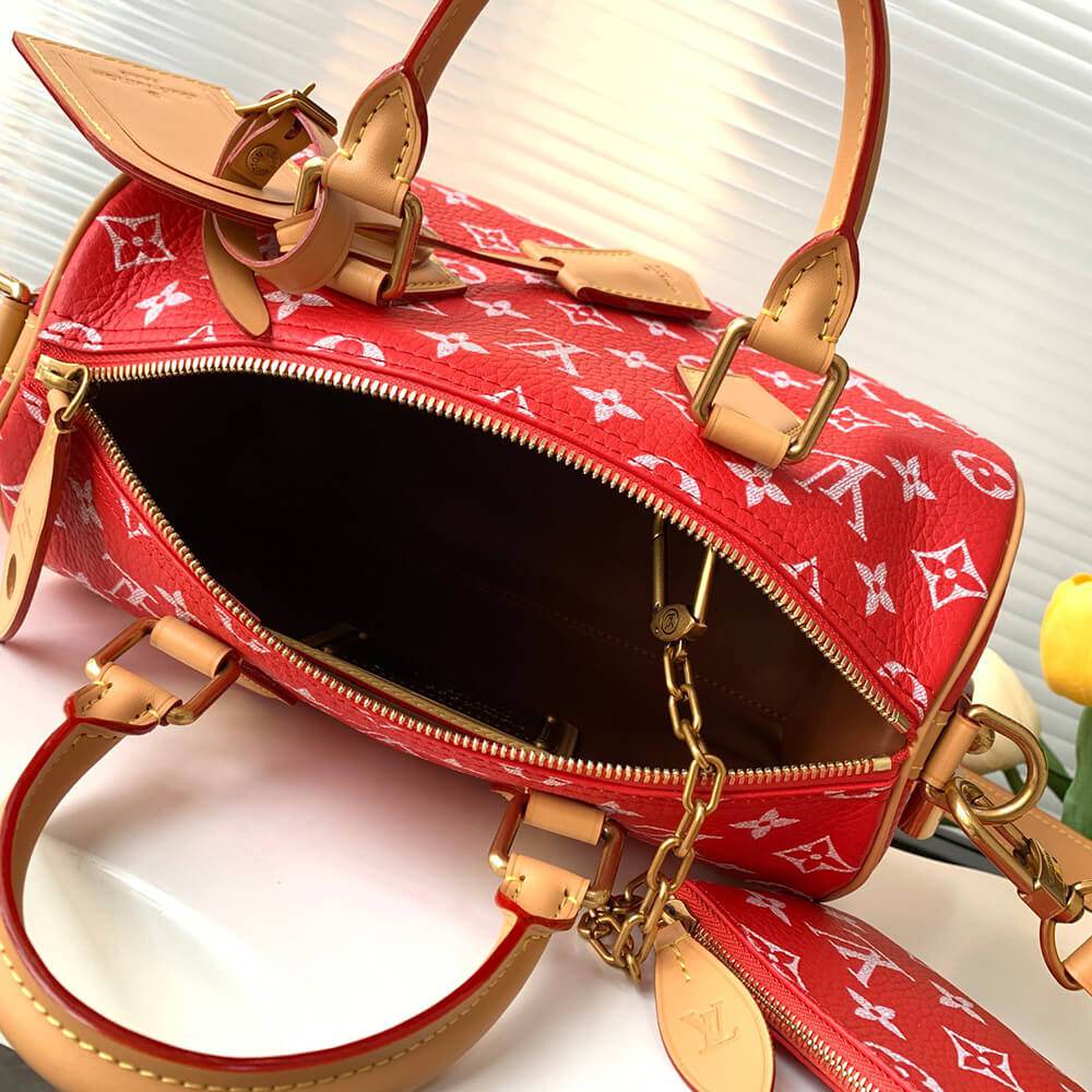 Louis Vuitton Speedy P9 Bandoulière 25