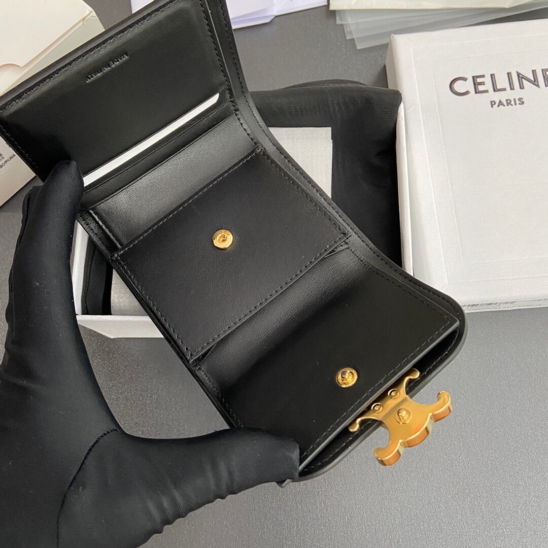 Celine Small Flap Wallet Triomphe