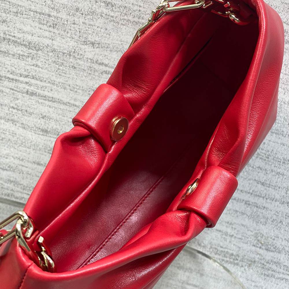 Medium Dior Bow Bag
